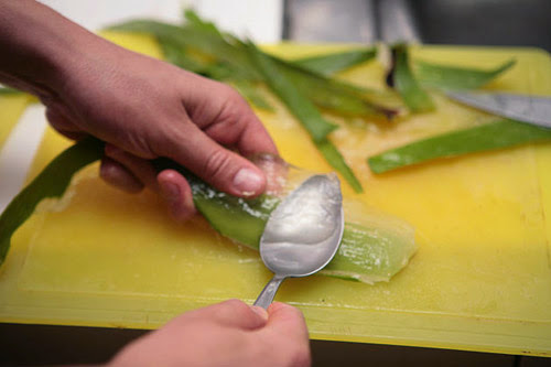 làm mặt nạ đắp mặt bằng nha đam